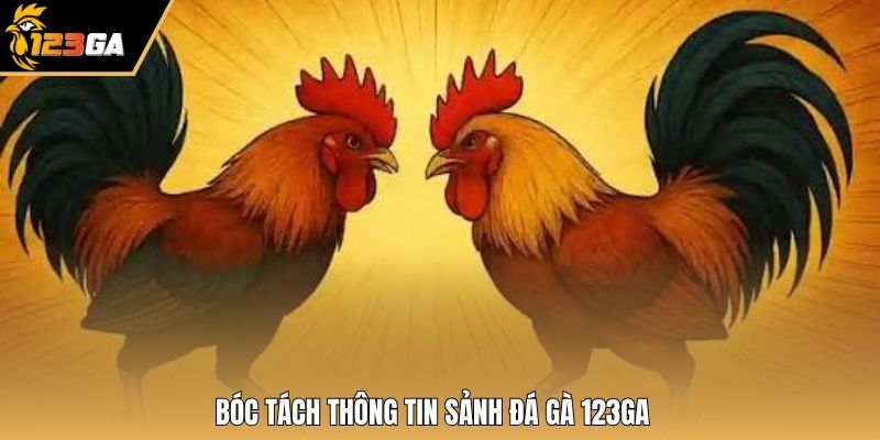Bóc tách thông tin sảnh đá gà 123GA