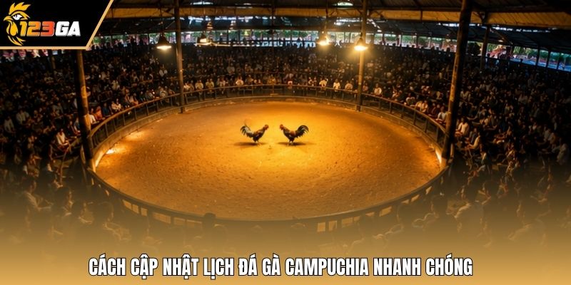 Cách cập nhật lịch đá gà Campuchia nhanh chóng