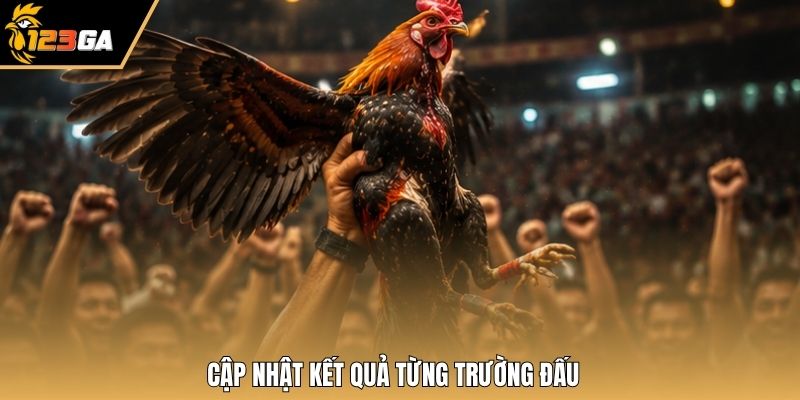 Cập nhật kết quả từng trường đấu