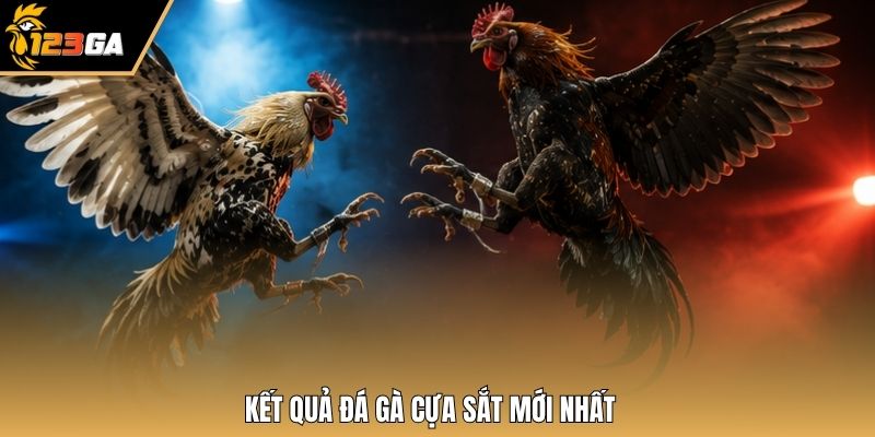 Kết quả đá gà cựa sắt mới nhất