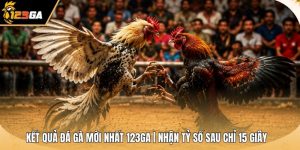 Kết Quả Đá Gà Mới Nhất 123GA | Nhận Tỷ Số Sau Chỉ 15 Giây