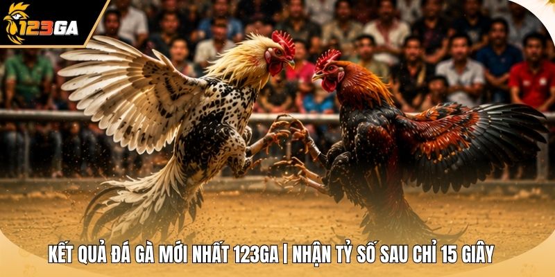 Kết Quả Đá Gà Mới Nhất 123GA | Nhận Tỷ Số Sau Chỉ 15 Giây