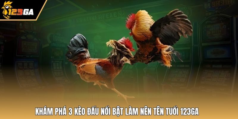 Khám phá 3 kèo đấu nổi bật làm nên tên tuổi 123GA