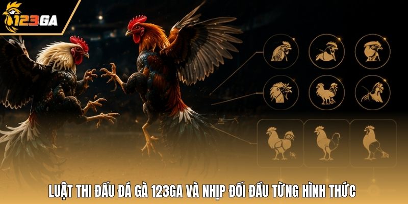 Luật thi đấu đá gà 123GA và nhịp đối đầu từng hình thức