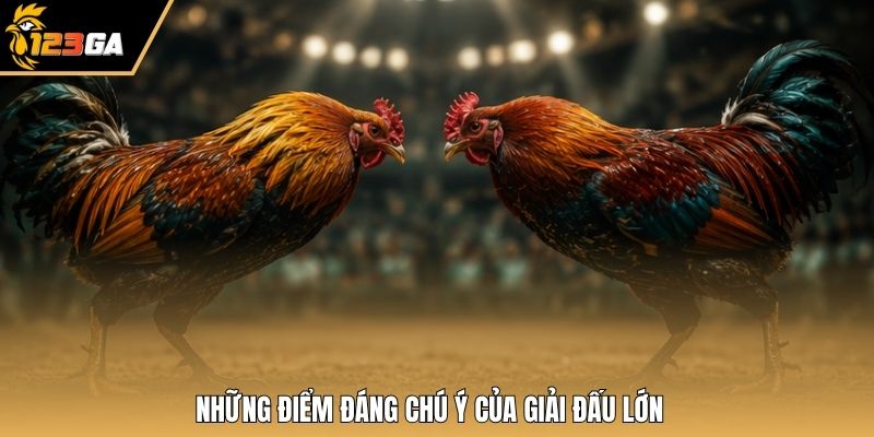 Những điểm đáng chú ý của giải đấu lớn