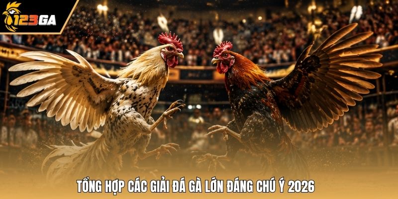 Tổng hợp các giải đá gà lớn đáng chú ý 2026