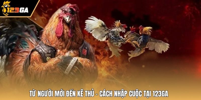Từ người mới đến kê thủ - cách nhập cuộc tại 123GA